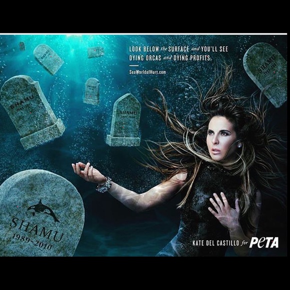 Bundle discount available! Say NO to SeaWorld! - Picture 7 of 8